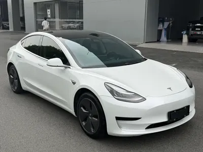 Tesla Model 3 · 2021 год