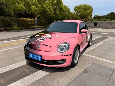 Volkswagen Beetle · 2014 год