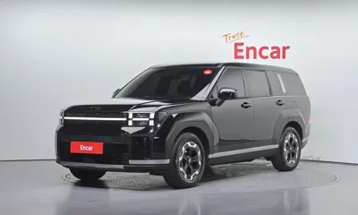Hyundai Santafe · 2024 год