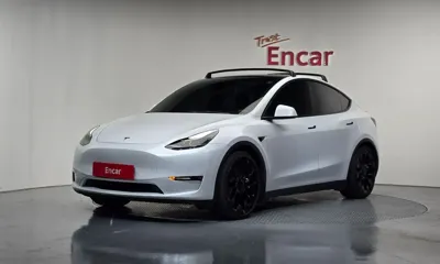 Tesla Model Y · 2021 год