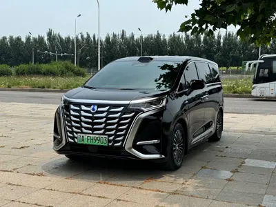Denza Denza D9 · 2025 год