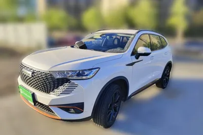 Haval H6 · 2021 год