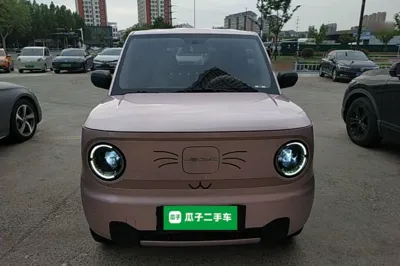 Geely Galaxy Panda 2024, 29000 км, за 5957 USD