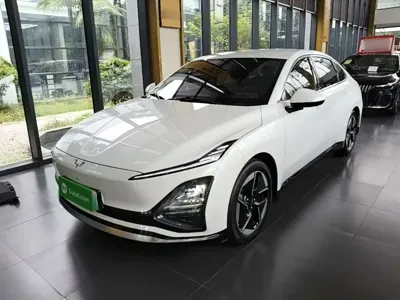 Wuling Xingguang · 2024 год