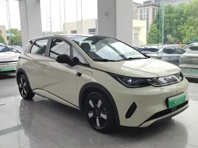 BYD Dolphin 2025, 5500 км, за 10564.83 USD