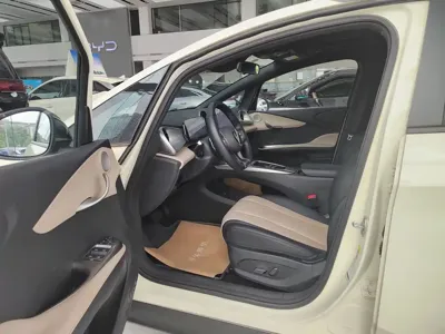 BYD Dolphin 2025, 5500 км, за 10564.83 USD