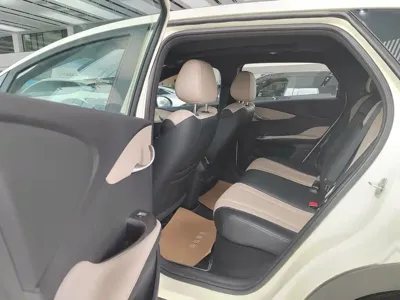 BYD Dolphin 2025, 5500 км, за 10564.83 USD
