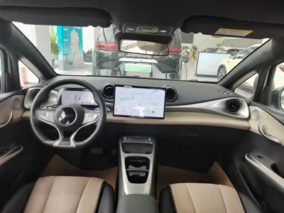 BYD Dolphin 2025, 5500 км, за 10564.83 USD