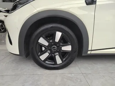 BYD Dolphin 2025, 5500 км, за 10564.83 USD - фото 7