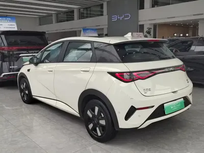BYD Dolphin 2025, 5500 км, за 10564.83 USD - фото 8