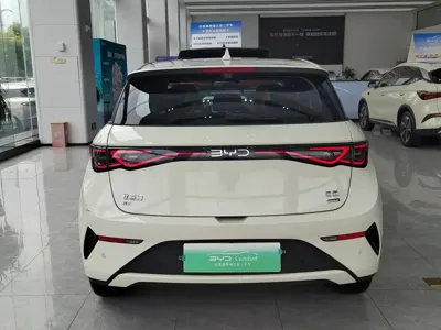 BYD Dolphin 2025, 5500 км, за 10564.83 USD - фото 9