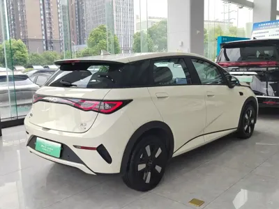 BYD Dolphin 2025, 5500 км, за 10564.83 USD - фото 10