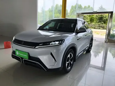 BYD Yuan Up · 2024 год