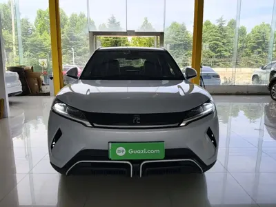 BYD Yuan Up 2024, 18300 км, за 11126.54 USD