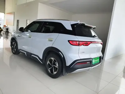 BYD Yuan Up 2024, 18300 км, за 11126.54 USD