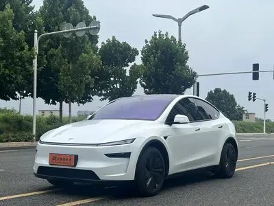Tesla Model Y · 2026 год