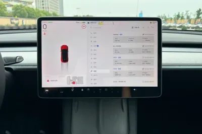 Tesla Model Y 2023, 42000 км, за 30461 USD - фото 9
