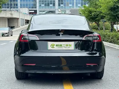 Tesla Model 3 2020, 83000 км, за 14537.68 USD