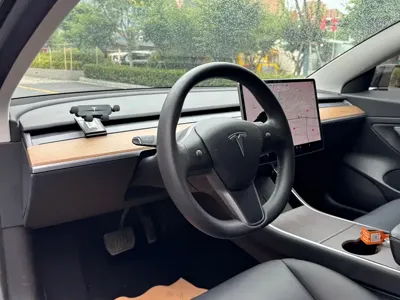 Tesla Model 3 2020, 83000 км, за 14578.84 USD - фото 14