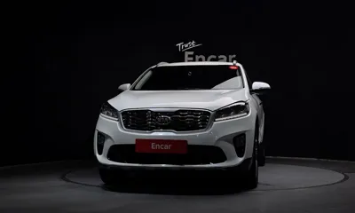 Kia Sorento 2020, 113505 км, за 9901 USD