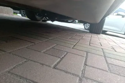 Volkswagen Tavendor