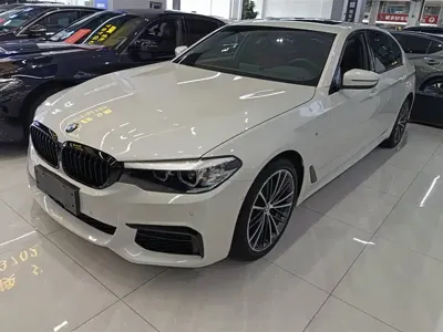 BMW 5 Series · 2019 год