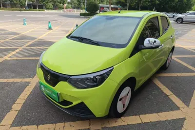 JMEV Xiao Qilin · 2023 год