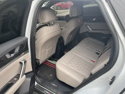 BYD Tang New Energy 2024, 19000 км, за 17087.35 USD