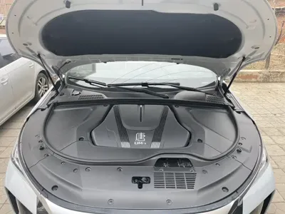 BYD Tang New Energy 2024, 19000 км, за 17087.35 USD - фото 8