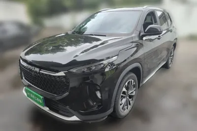 SAIC MAXUS D60 · 2019 год