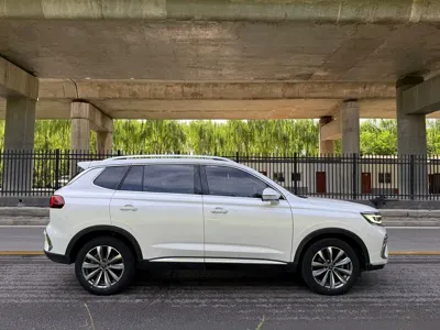Roewe RX5 Max 2020, 40000 км, за 7363.2 USD