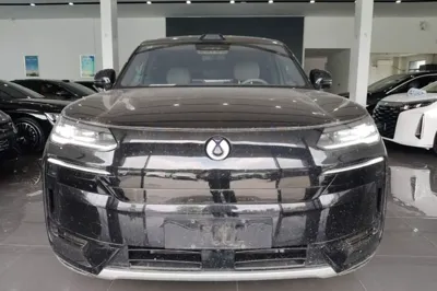 Denza N9 2025, 18600 км, за 49063 USD