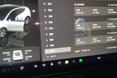 Tesla Model Y 2022, 100500 км, за 23389 USD - фото 14