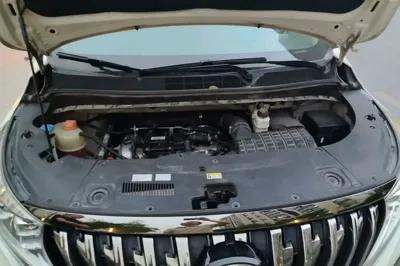 GAC Trumpchi M8 2021, 171500 км, за 14861 USD - фото 17
