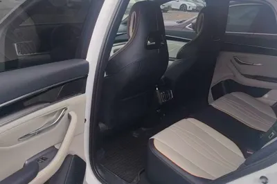 BYD Song PLUS New Energy 2023, 18200 км, за 16596 USD - фото 24