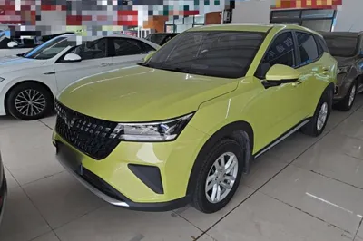 Wuling Alvez · 2022 год