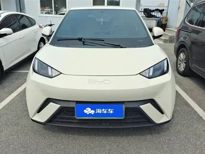 BYD Seagull 2025, 10200 км, за 8445.98 USD