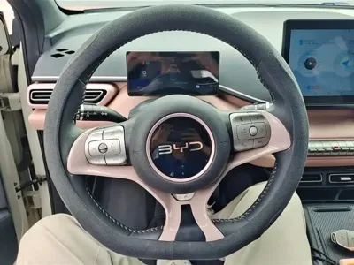 BYD Seagull 2025, 10200 км, за 8445.98 USD - фото 15