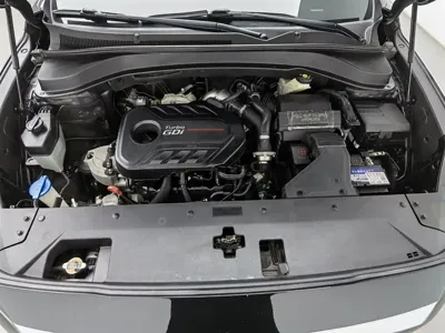 Hyundai Santa Fe 2019, 165200 км, за 7337.66 USD - фото 6
