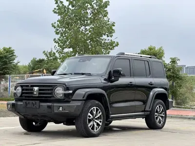 Tank Tank 300 · 2022 год