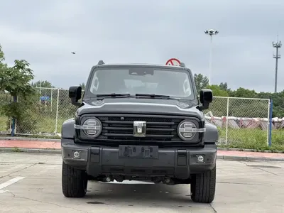Tank Tank 300 2022, 110000 км, за 14699.54 USD