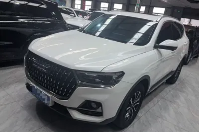 Haval H6 · 2023 год