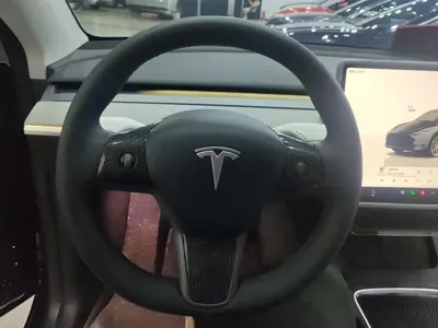 Tesla Model Y 2025, 32000 км, за 33622.07 USD - фото 15