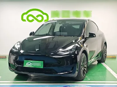 Tesla Model Y · 2022 год