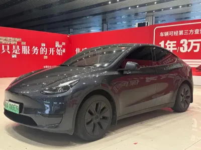 Tesla Model Y · 2024 год
