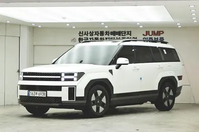 Hyundai Santafe · 2024 год