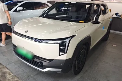 Dongfeng NAMMI 06 · 2025 год