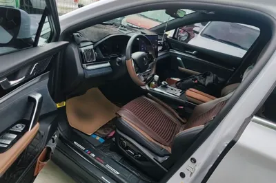 BYD Tang New Energy 2021, 30200 км, за 17085 USD - фото 22