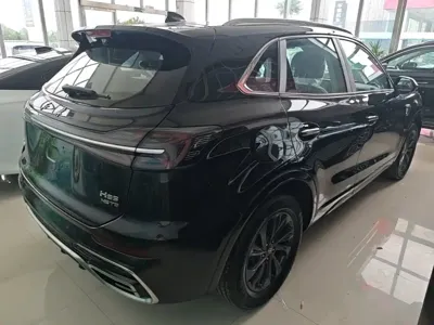 Hongqi Hongqi HS5 2026, 100 км, за 17843.56 USD - фото 7