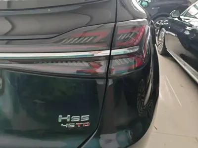 Hongqi Hongqi HS5 2026, 100 км, за 17843.56 USD - фото 8